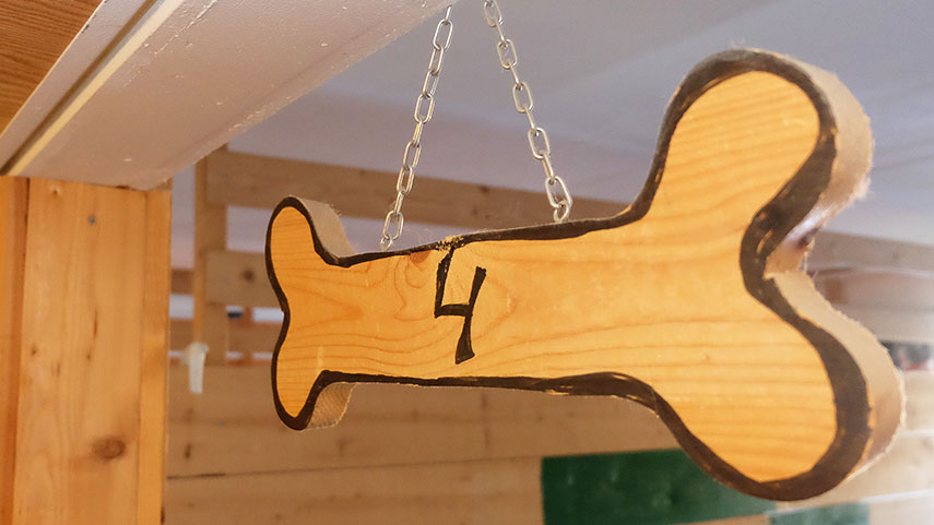 Hundben rum nr 4